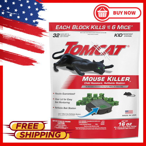Mouse mice rat - mice, killer